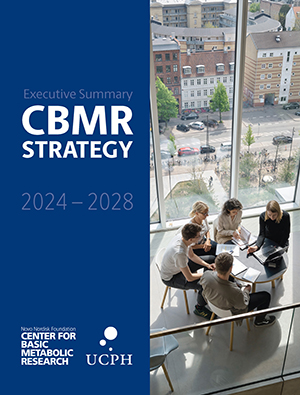 Cover of the CBMR strategy